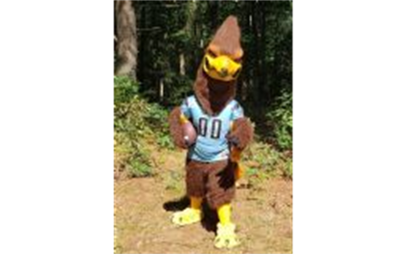 OUR HAWK MASCOT